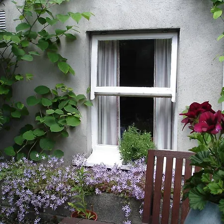 Harrington House Hostel-3